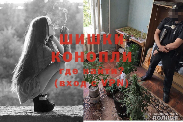 Альфа ПВП Алексин
